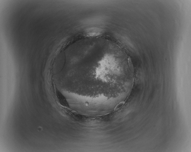 X0000111131441200907071008
