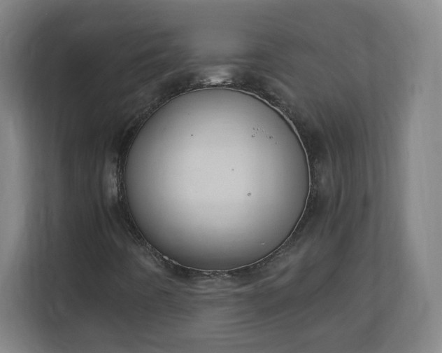 X0000111131442200907071008