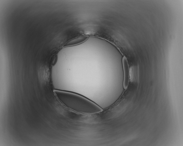 X0000111131443200907071008