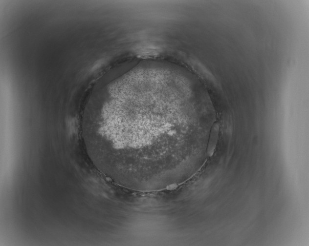 X0000111131445200907071008