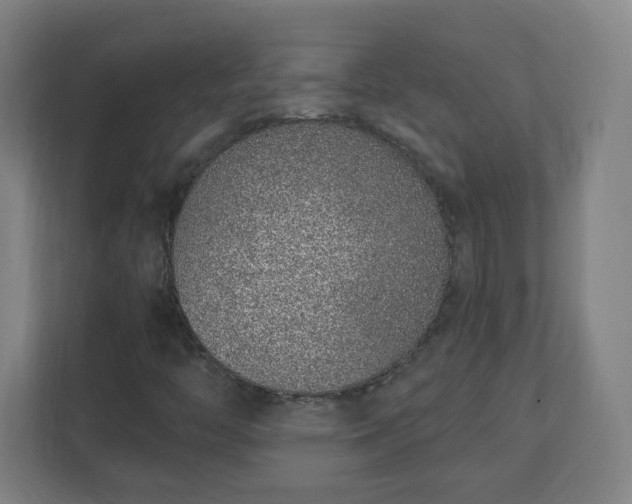 X0000111131446200907071008
