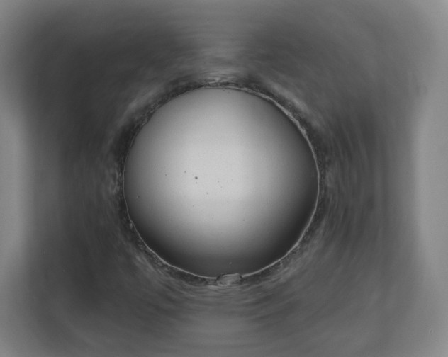 X0000111131447200907071008