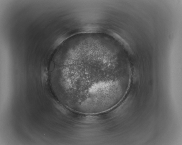 X0000111131449200907071008