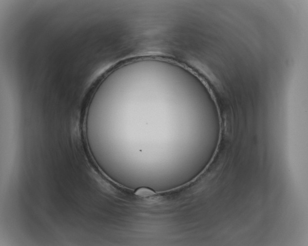 X0000111131452200907071008
