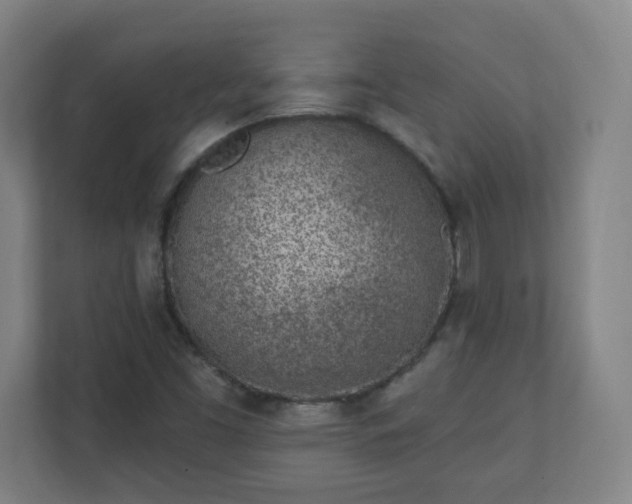 X0000111131453200907071008