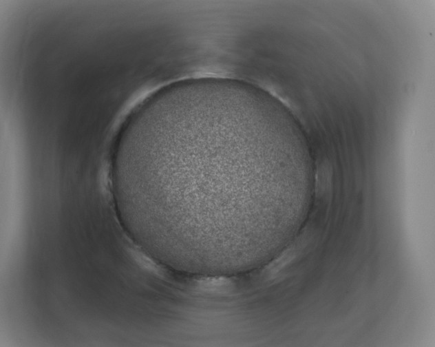 X0000111131454200907071008