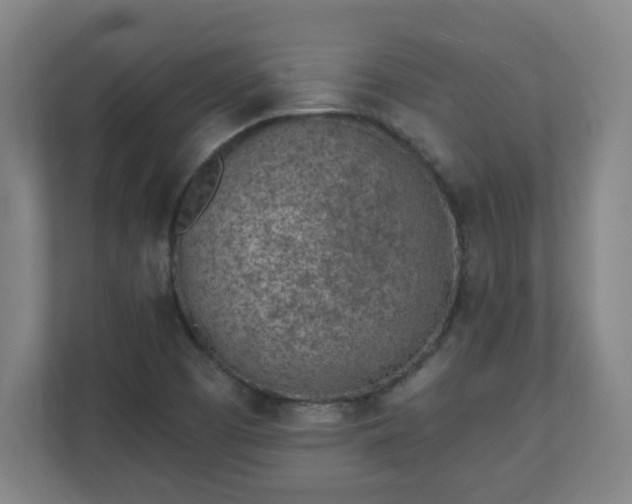X0000111131457200907071008