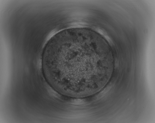 X0000111131459200907071008