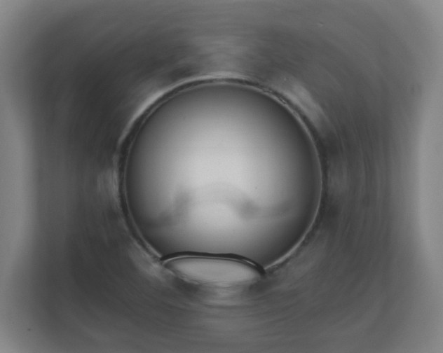 X0000111131460200907071008