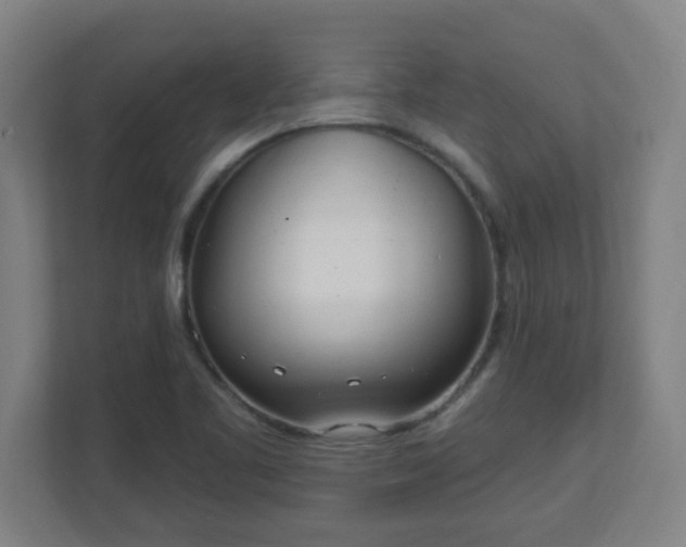 X0000111131461200907071008
