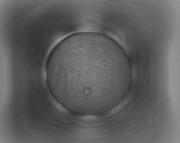 X0000111131462200907071008