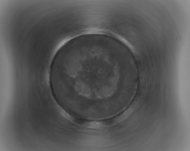 X0000111131463200907071008
