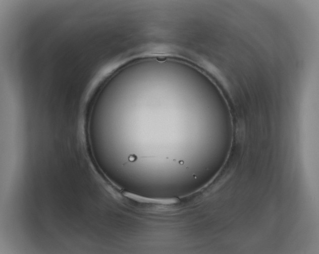 X0000111131464200907071008
