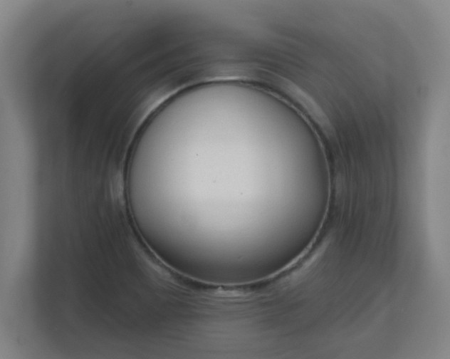 X0000111131465200907071008