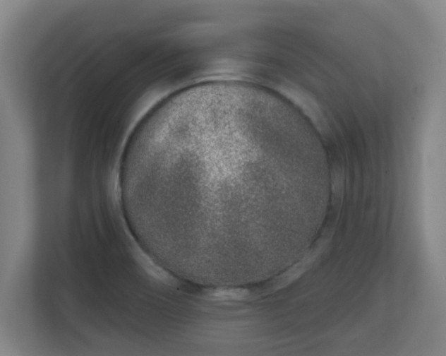 X0000111131466200907071008