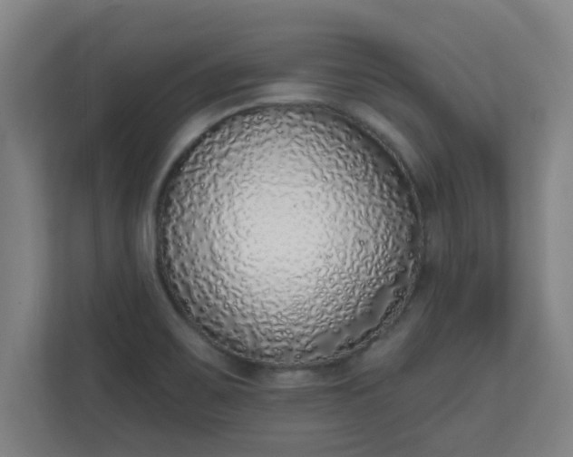 X0000111131467200907071008