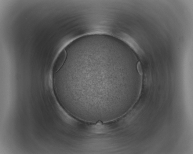 X0000111131468200907071008