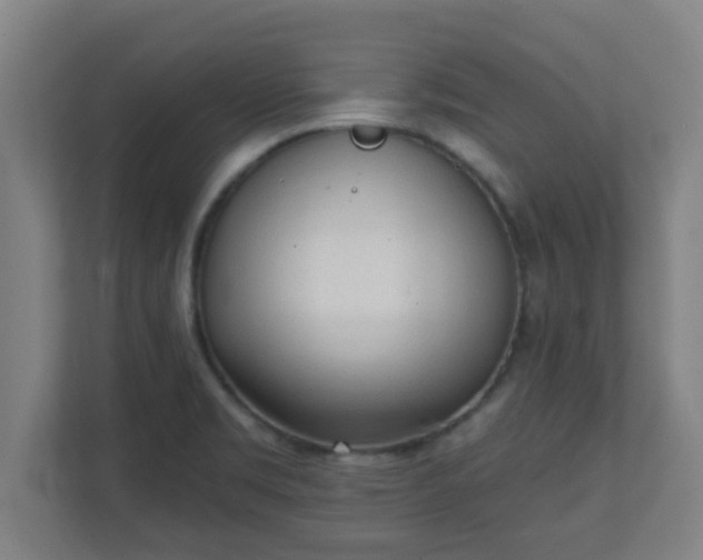 X0000111131469200907071008