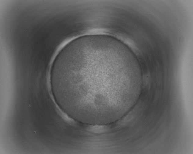 X0000111131470200907071008