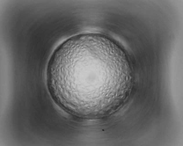 X0000111131471200907071008