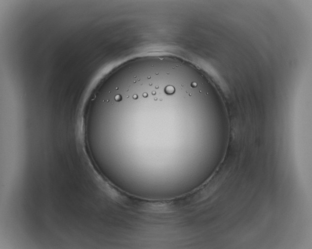 X0000111131472200907071008