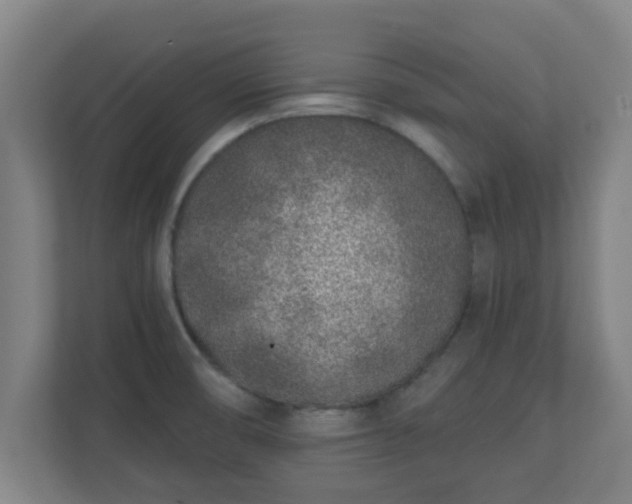 X0000111131474200907071008