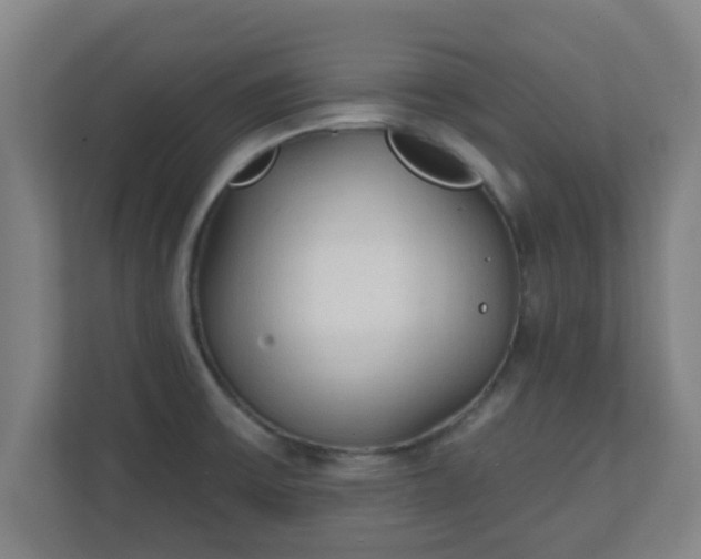 X0000111131475200907071008