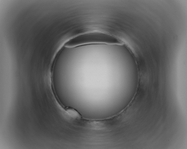 X0000111131476200907071008