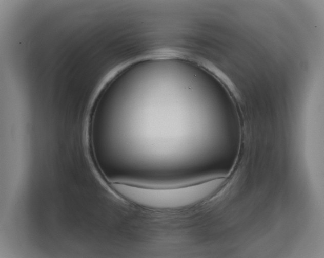 X0000111131477200907071008