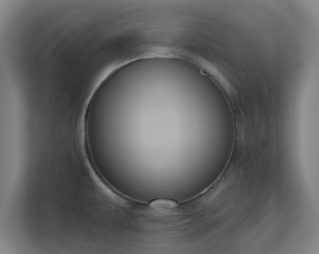 X0000111131479200907071008
