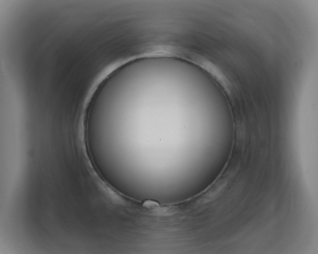 X0000111131480200907071008