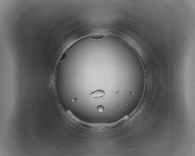 X0000111131481200907071008