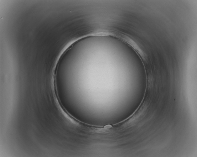 X0000111131484200907071008