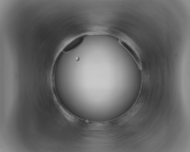 X0000111131485200907071008