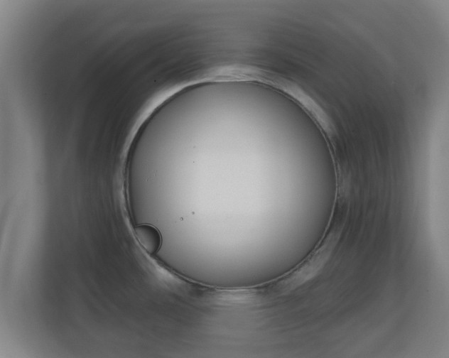X0000111131486200907071007