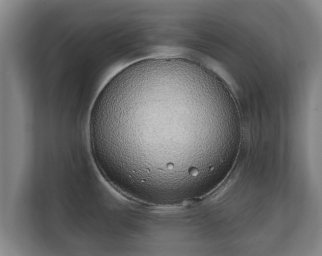 X0000111131487200907071007