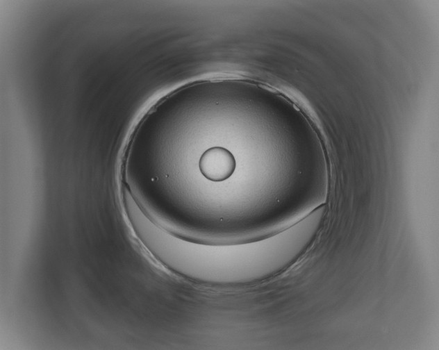 X0000111131488200907071007