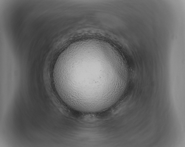 X0000111131489200907071007