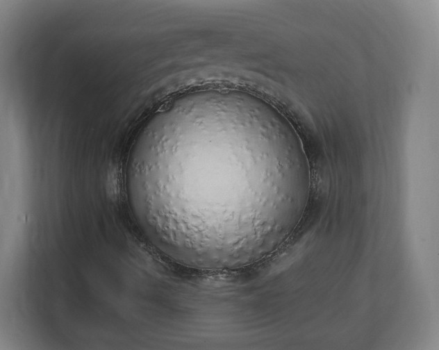 X0000111131490200907071007