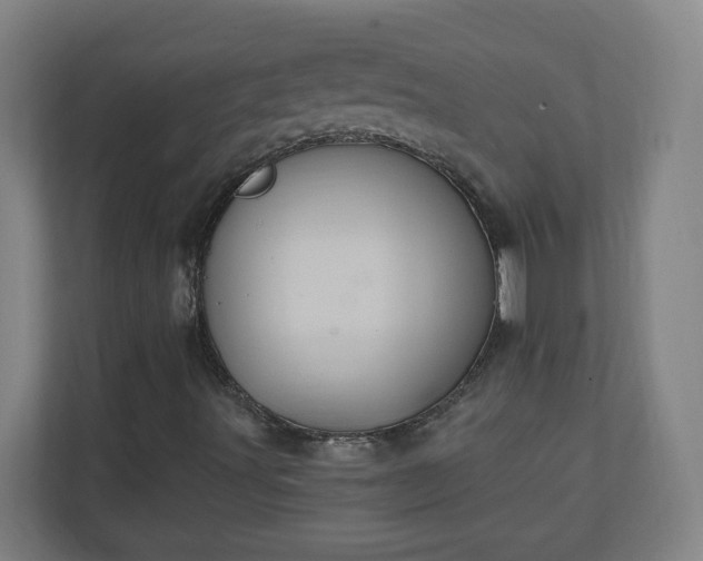 X0000111131491200907071007