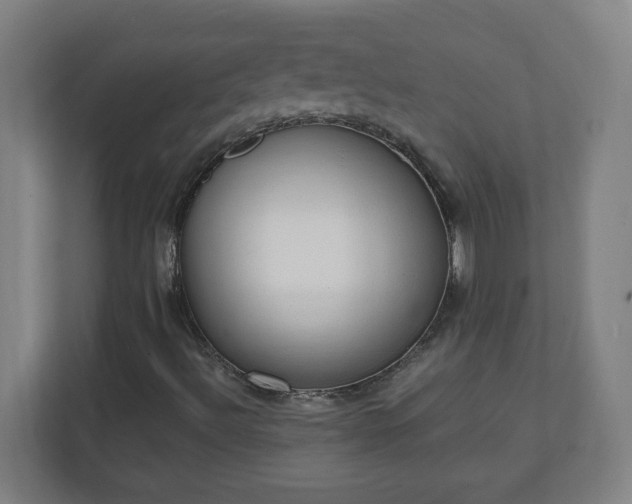 X0000111131492200907071007
