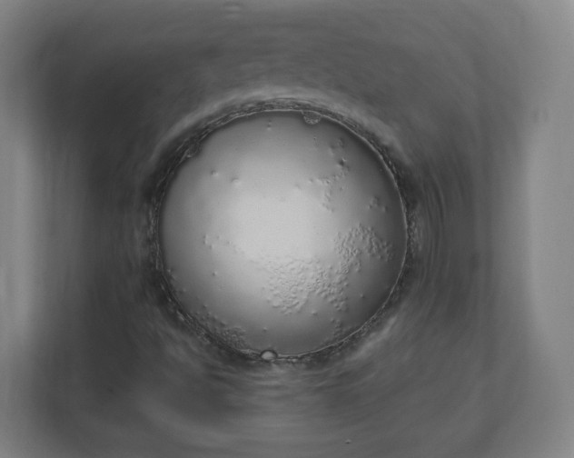 X0000111131494200907071007