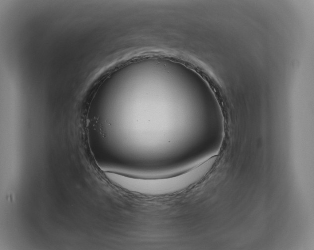 X0000111131496200907071007