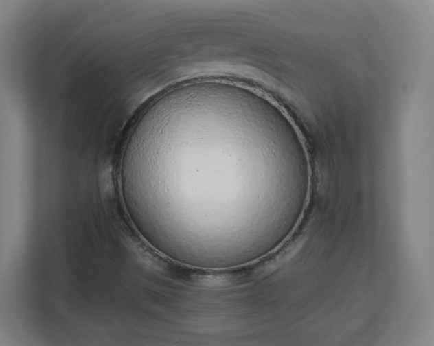 X0000111131497200907071007