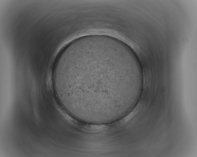 X0000111131498200907071007