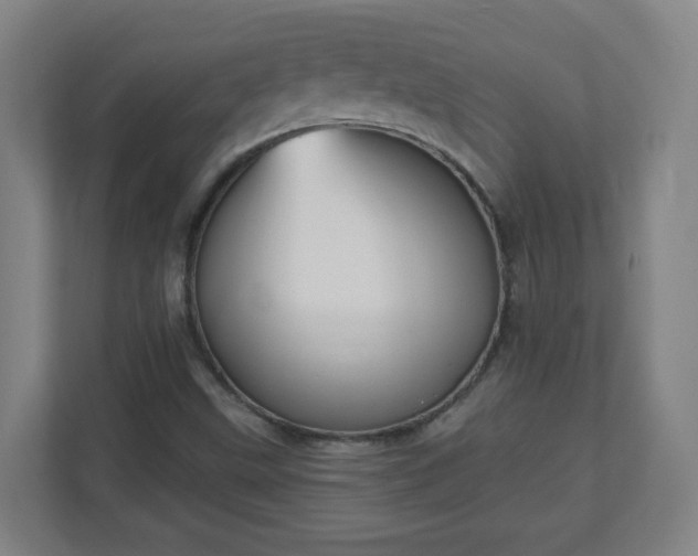 X0000111131499200907071007