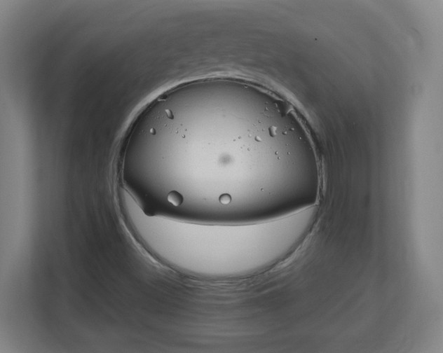 X0000111131500200907071007