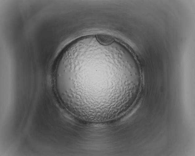 X0000111131501200907071007