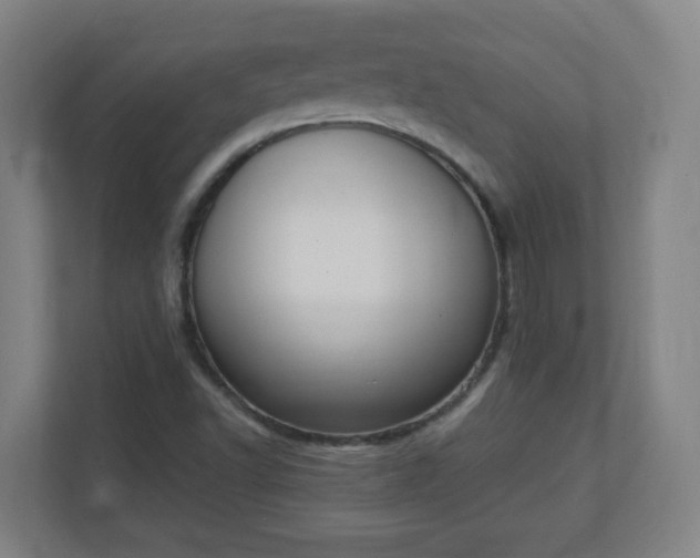 X0000111131502200907071007