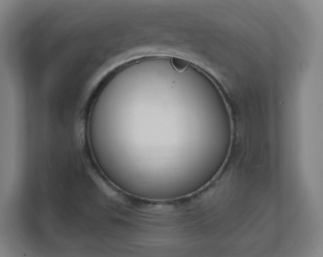 X0000111131503200907071007
